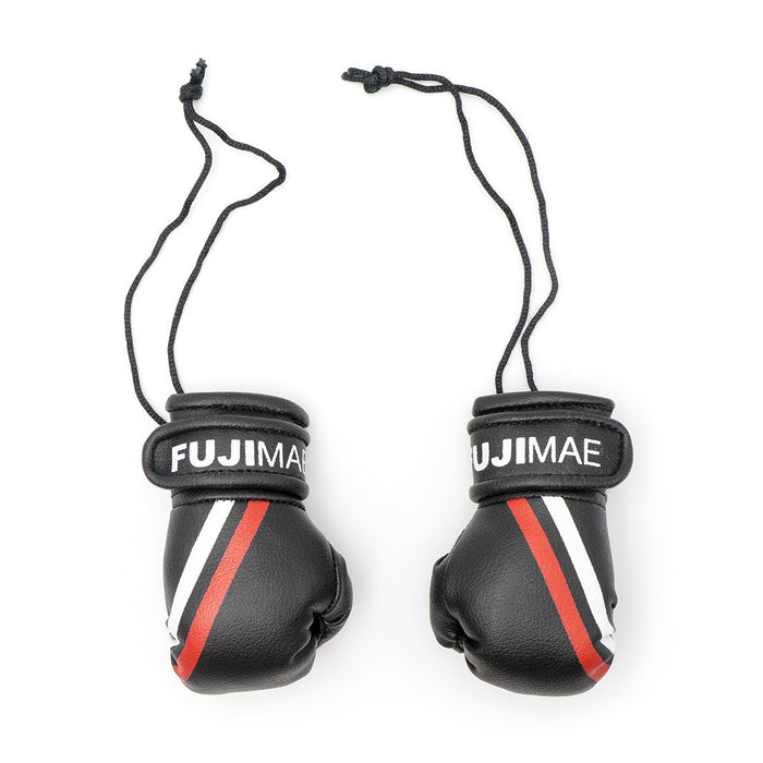 Replica Gants Boxe FUJIMAE